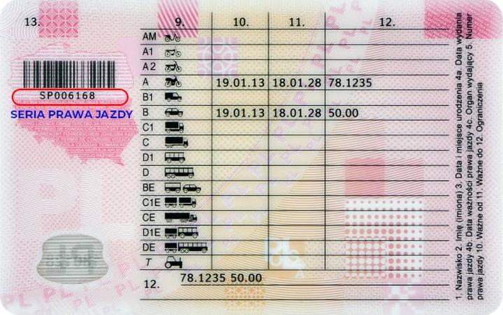 Dane osobowe na prawie jazdy
