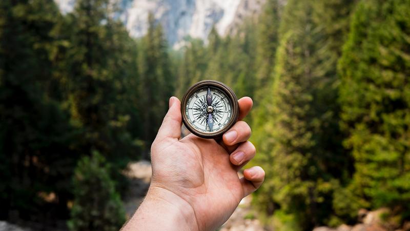 Techniki przetrwania w lesie