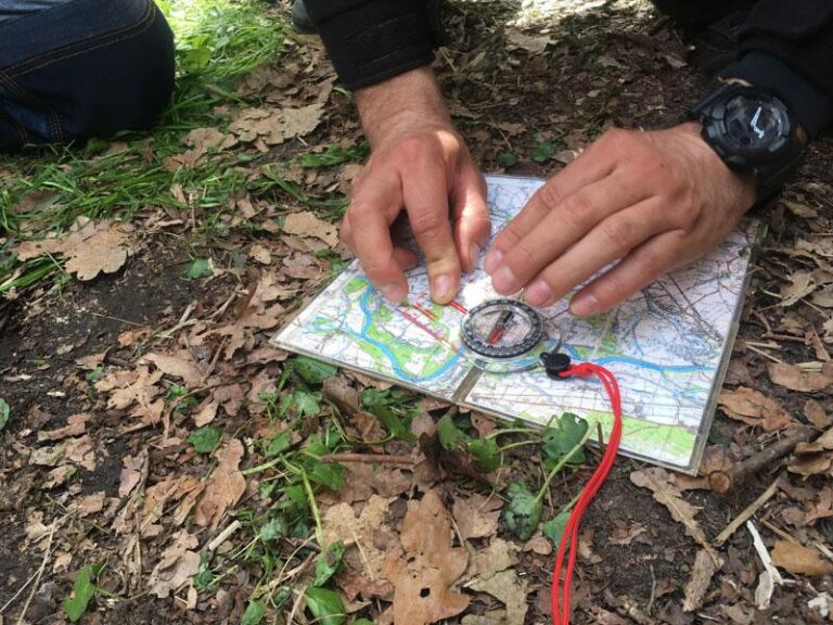 Zgubiony w lesie? Sprawdź, jak trafić do samochodu szybciej niż myślisz!