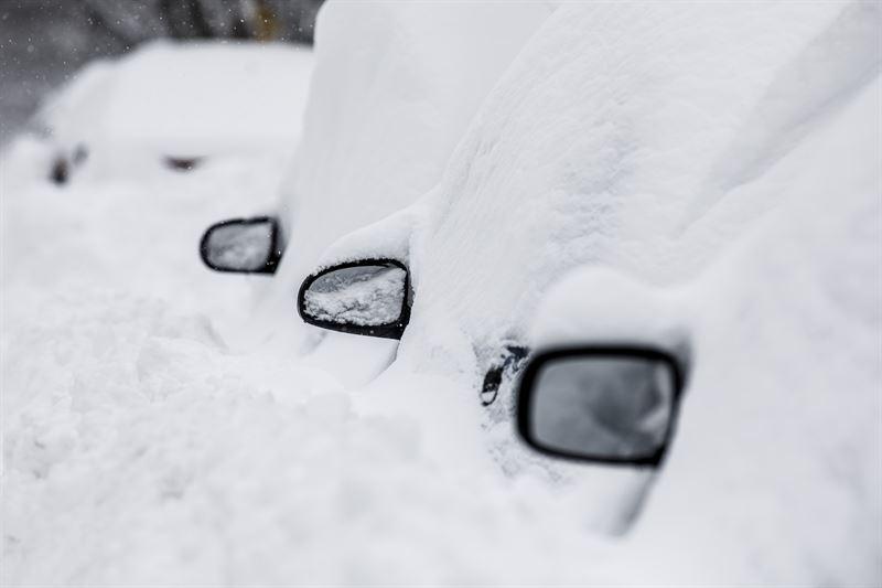 Dodatki do paliwa zimowego