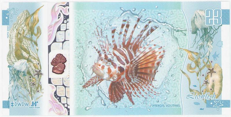 Najczęstsze błędy weryfikacji prawa jazdy