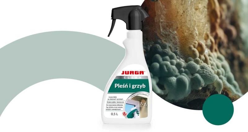 Naturalne metody czyszczenia pleśni