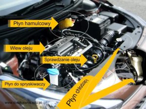 Najlepsze oleje do silnika Hyundai ix20 z silnikiem benzynowym - co wybrać?