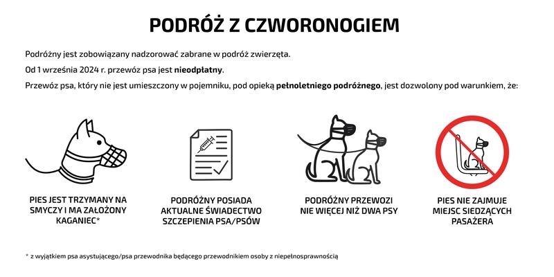 Przewóz psa samochodem
